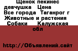 Щенок пекинес девчушка › Цена ­ 2 500 - Все города, Таганрог г. Животные и растения » Собаки   . Калужская обл.